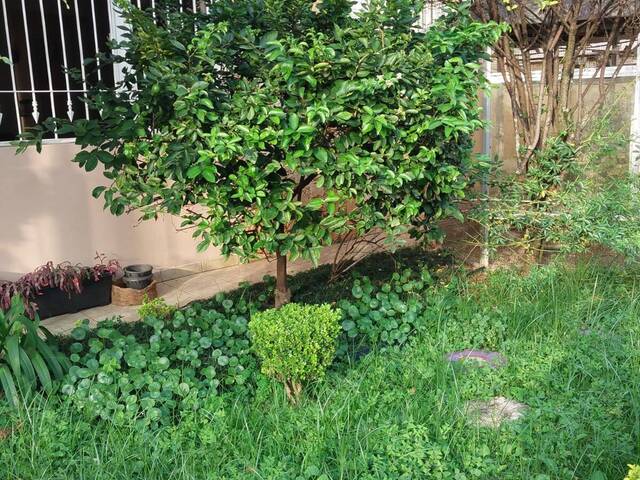 #391 - Casa para Venda em São Paulo - SP - 2